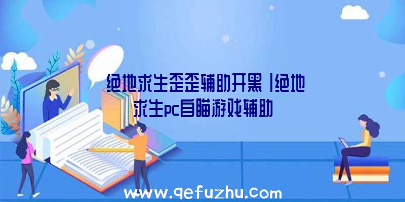 「绝地求生歪歪辅助开黑」|绝地求生pc自瞄游戏辅助